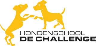Logo De Challenge